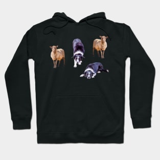 Border Collies and Sheep Sticker Pack Hoodie